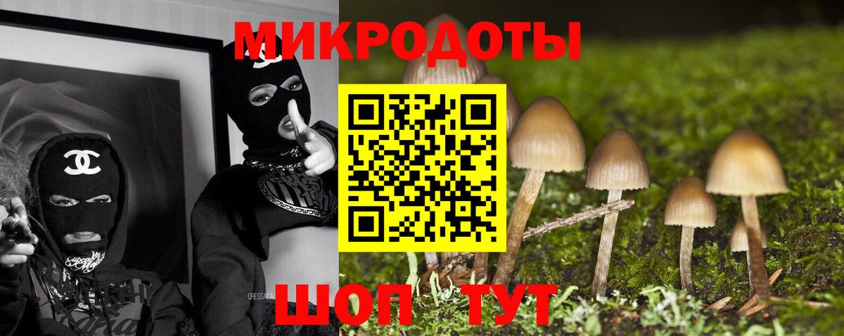 Галлюциногенные грибы Magic Shrooms  Псилоцибиновые грибы Cubensis  Вход с VPN  Геленджик 